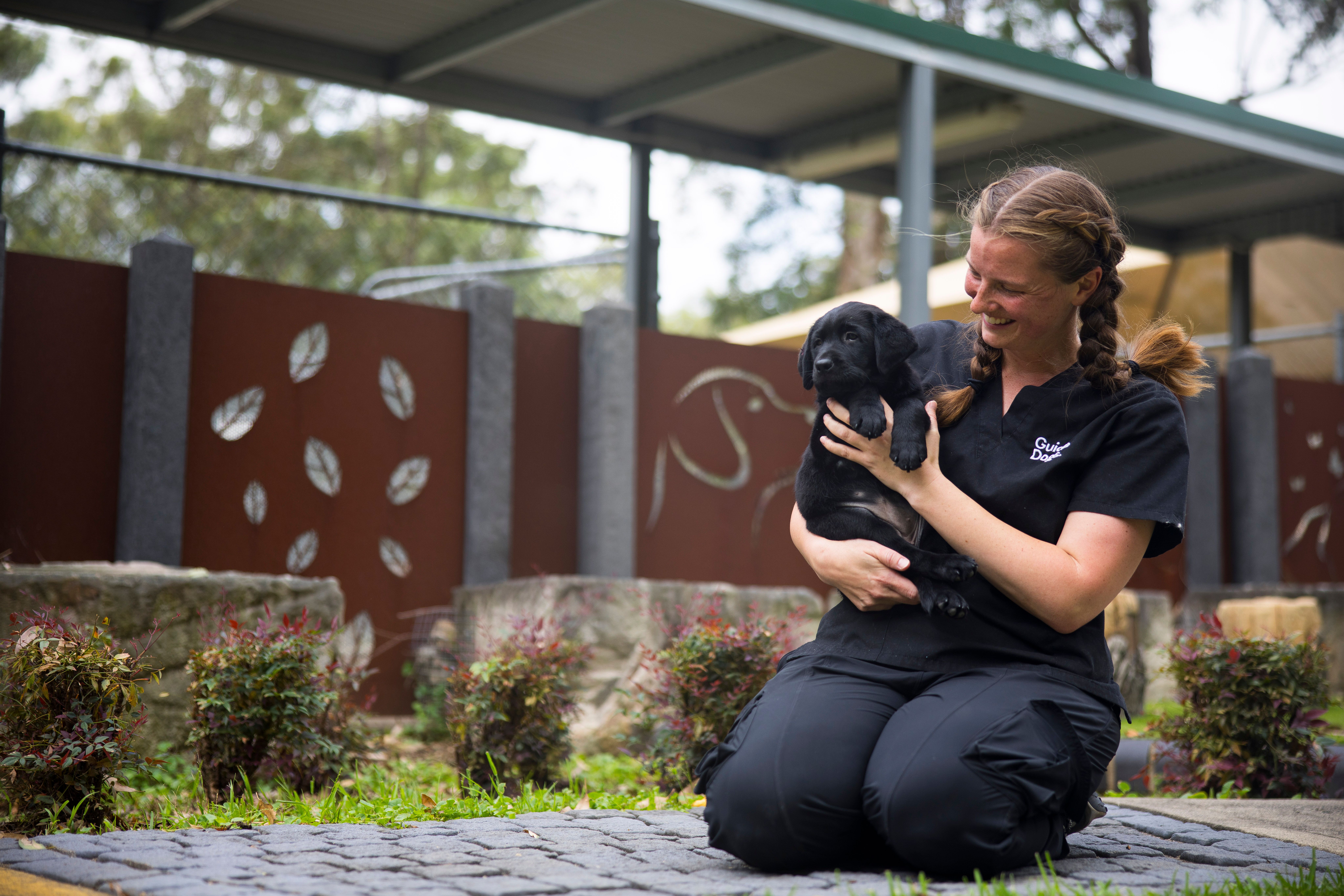A staff member holding a black Labrador puppy.