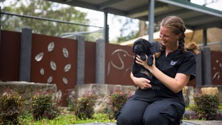 A Guide Dogs staff member with a puppy.