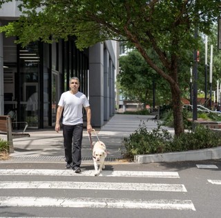 A person crossing the road with a yellow Labrador Guide Dog.