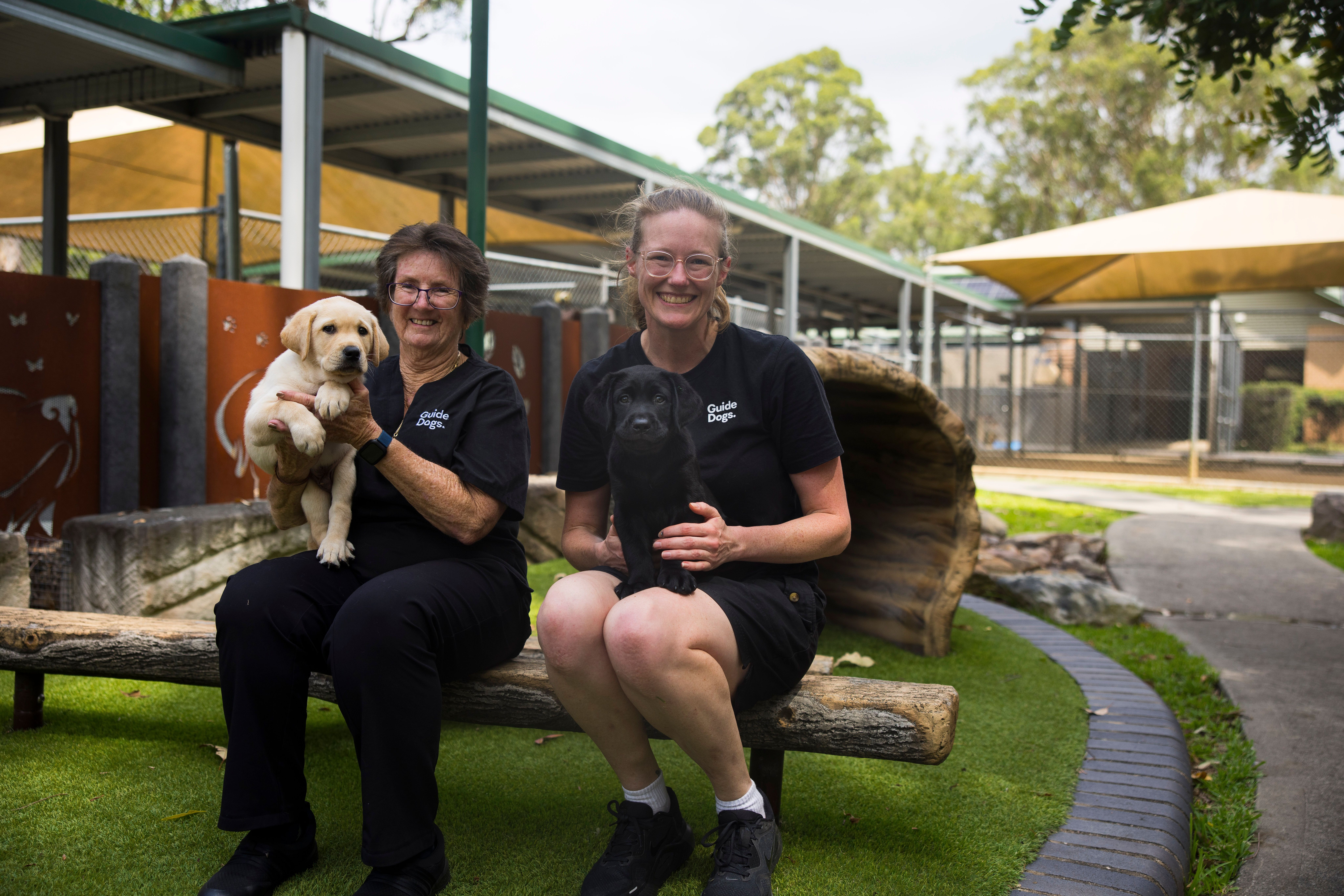 Two volunteers sitting with puppies. 