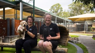 Two volunteers sitting with puppies smiling at the camera.