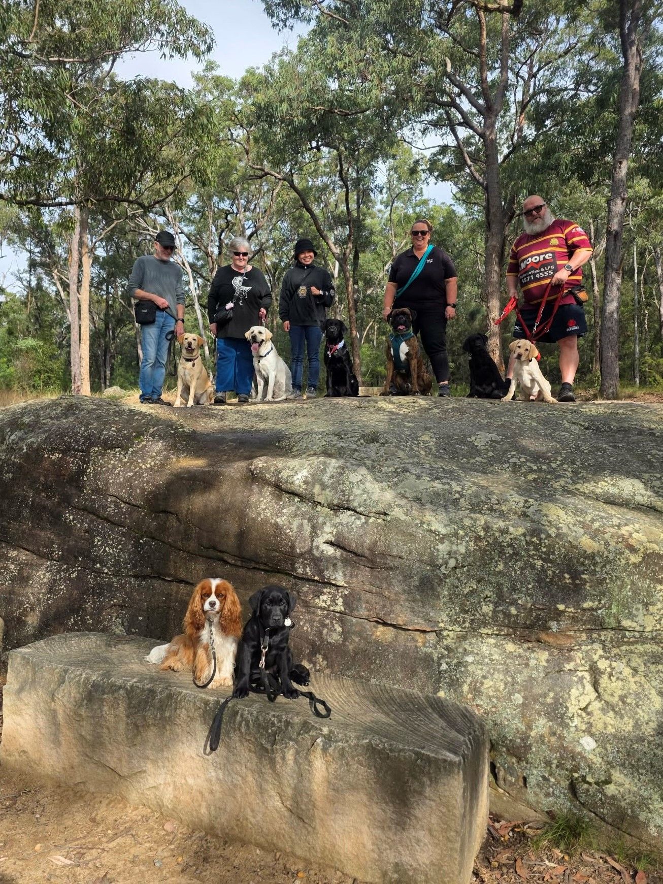 Five people and seven dogs stand on a large rock outside, with bushland behind them.  