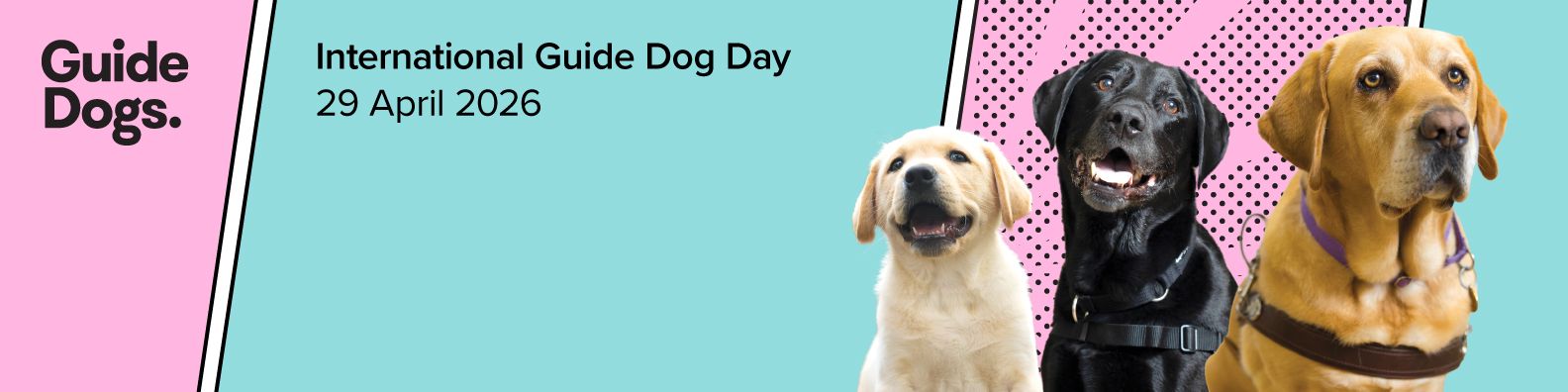 A yellow Labrador puppy, a black Labrador Therapy Dog and a yellow Labrador Guide Dog in harness all looking at the camera with text to their left that reads International Guide Dog Day 2026.