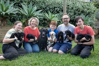 Emma and her family with Labrador puppies.