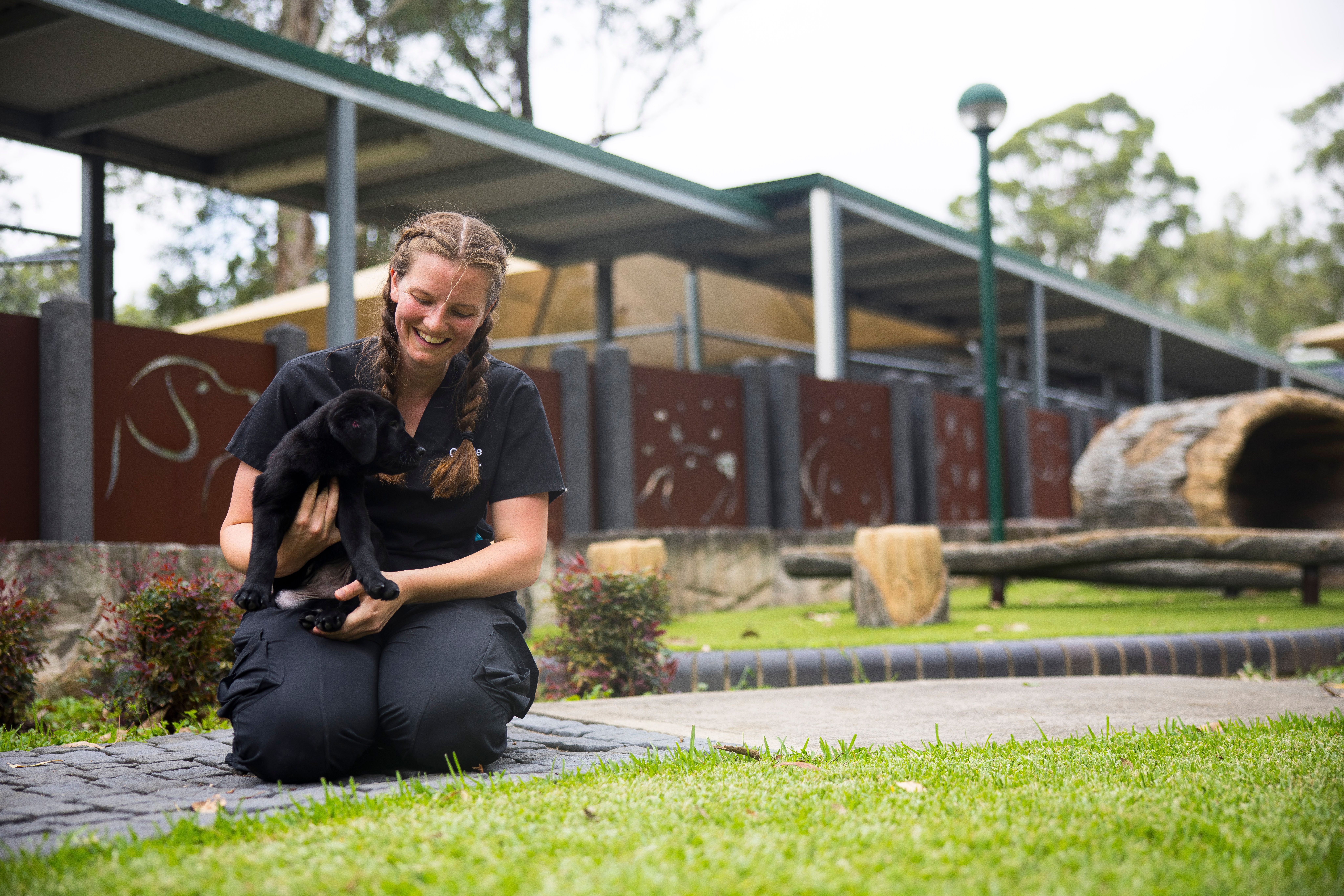 A person holding a Labrador puppy. 