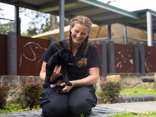 A person holding a Labrador puppy.