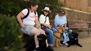 A group of Puppy Raisers sitting together.