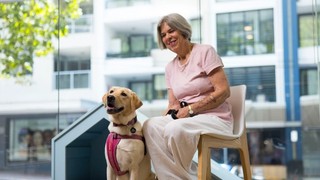A person sitting with a Labrador.