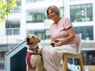 A person sitting with a Labrador.