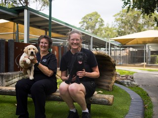 Two volunteers holding puppies.