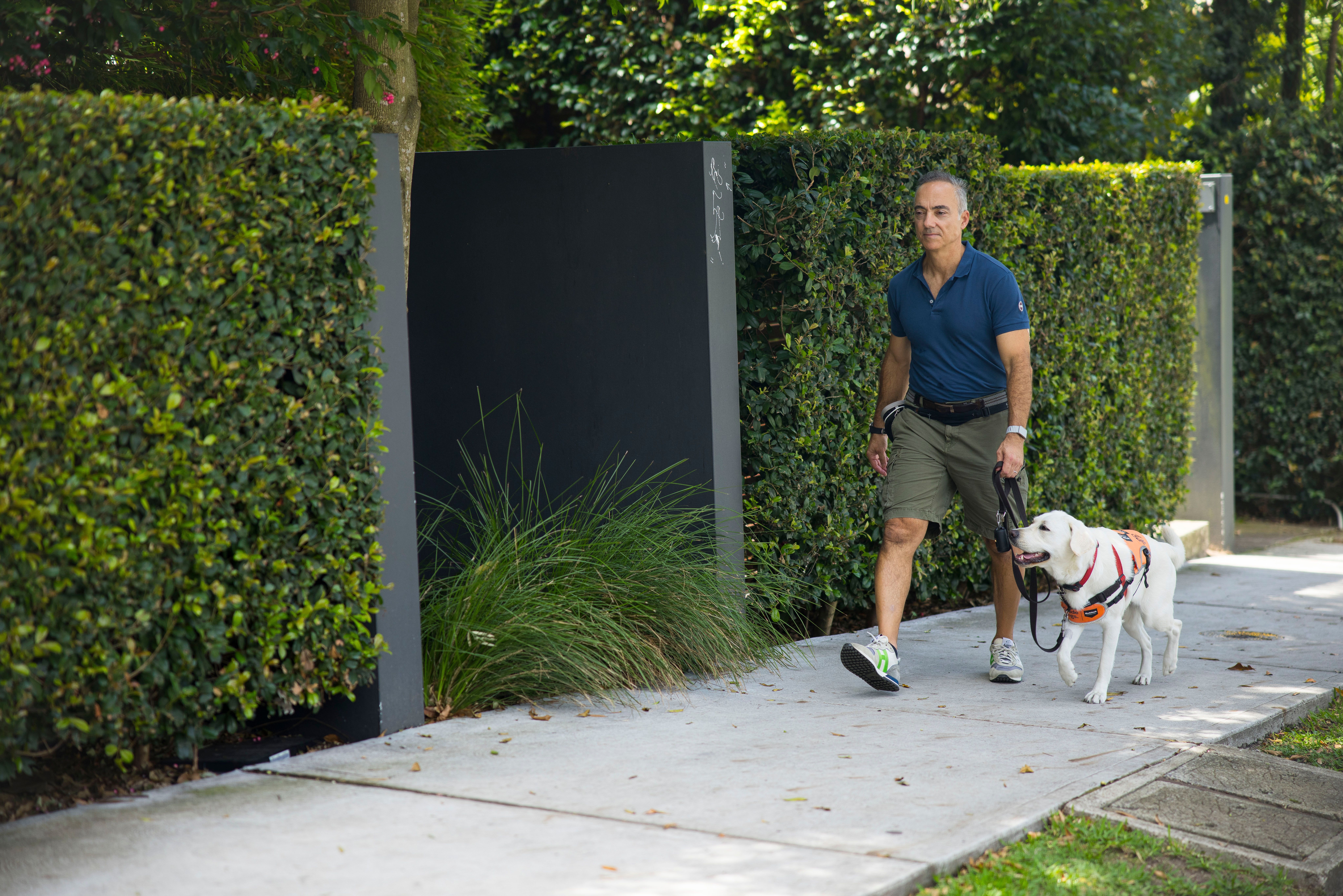 A Puppy Raiser walking with a yellow Labrador puppy.