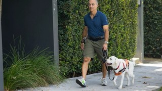 A Puppy Raiser walking with a yellow Labrador puppy.