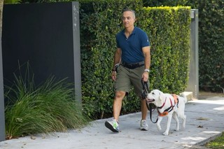 A Puppy Raiser walking with a yellow Labrador puppy.