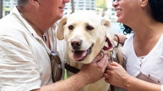 Paul with a yellow Labrador Guide Dog.