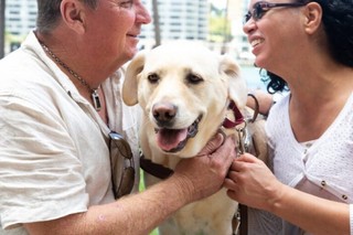 Paul with a yellow Labrador Guide Dog.