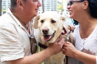 Paul sits with a yellow Labrador Guide Dog and faces the person sitting on the other side of the Guide Dog.