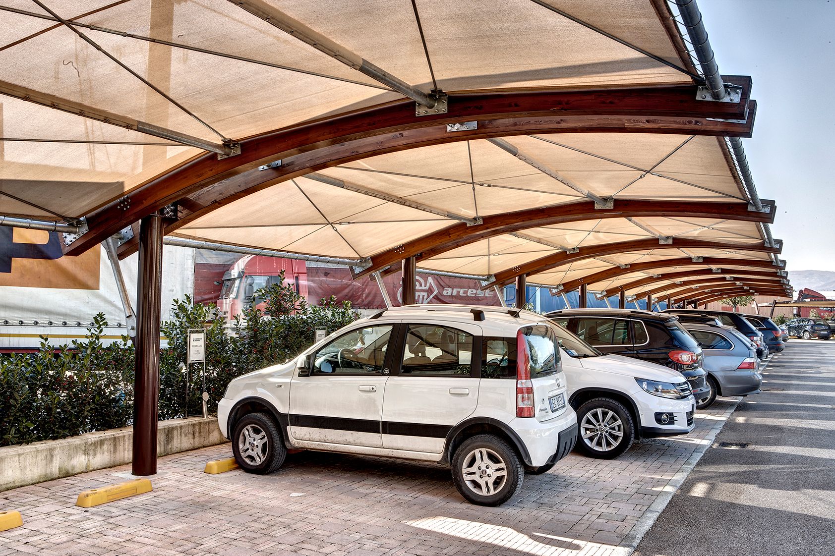 Galleria Covercar Vannucci Piante  6