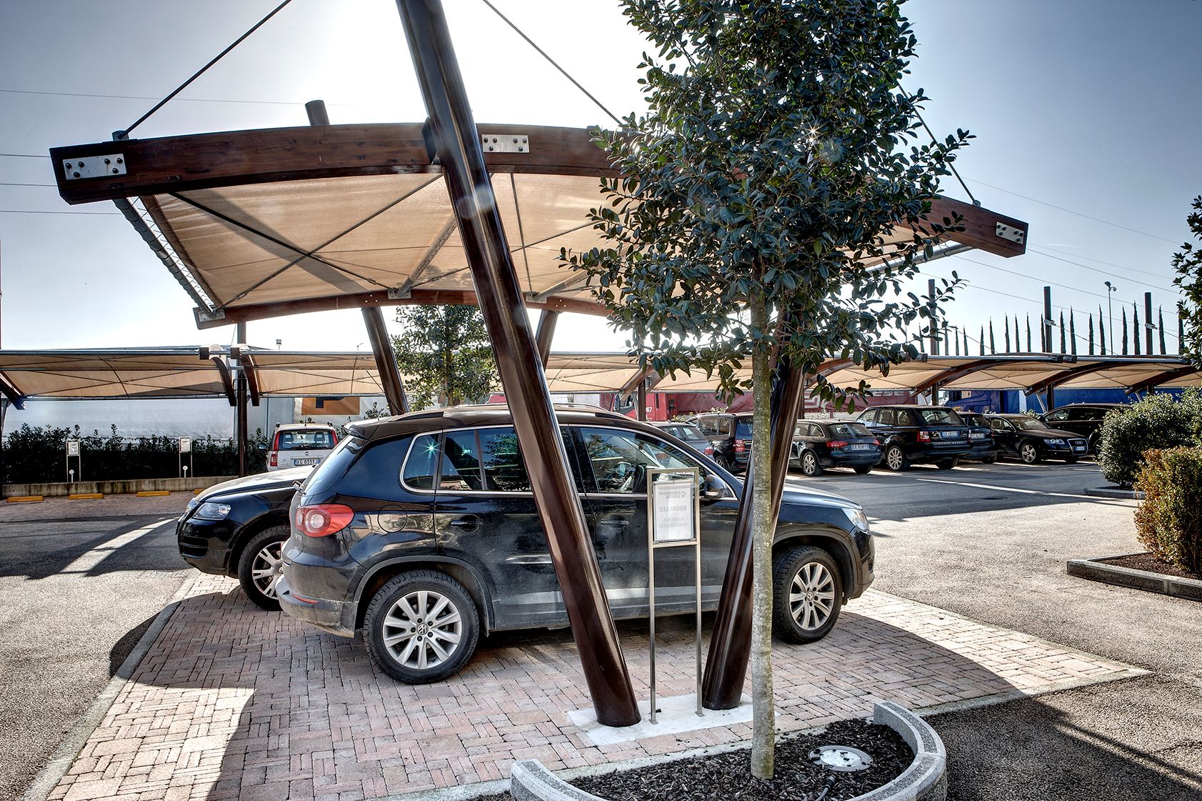 Galleria Covercar Vannucci Piante  4
