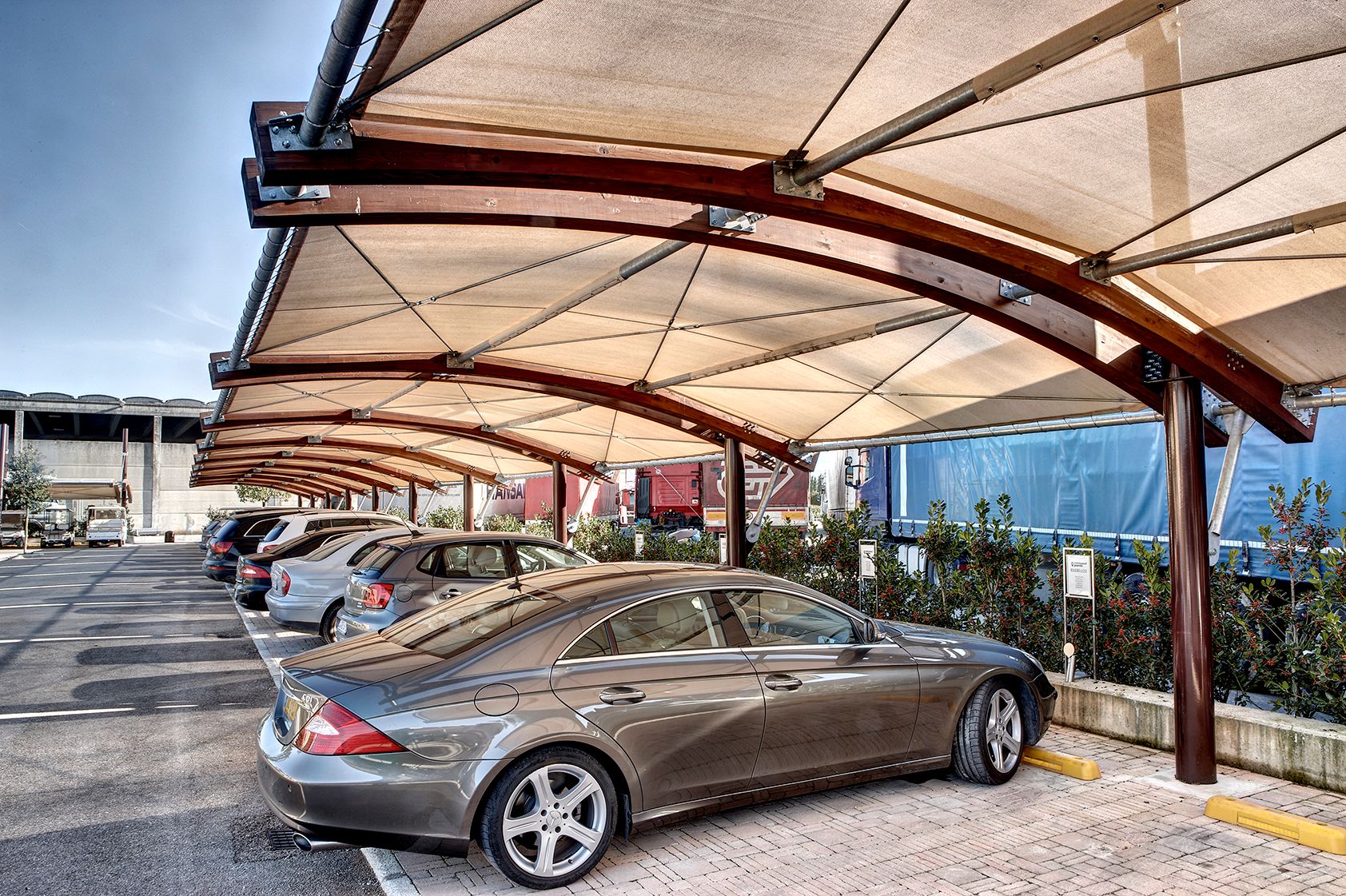 Galleria Covercar Vannucci Piante  2