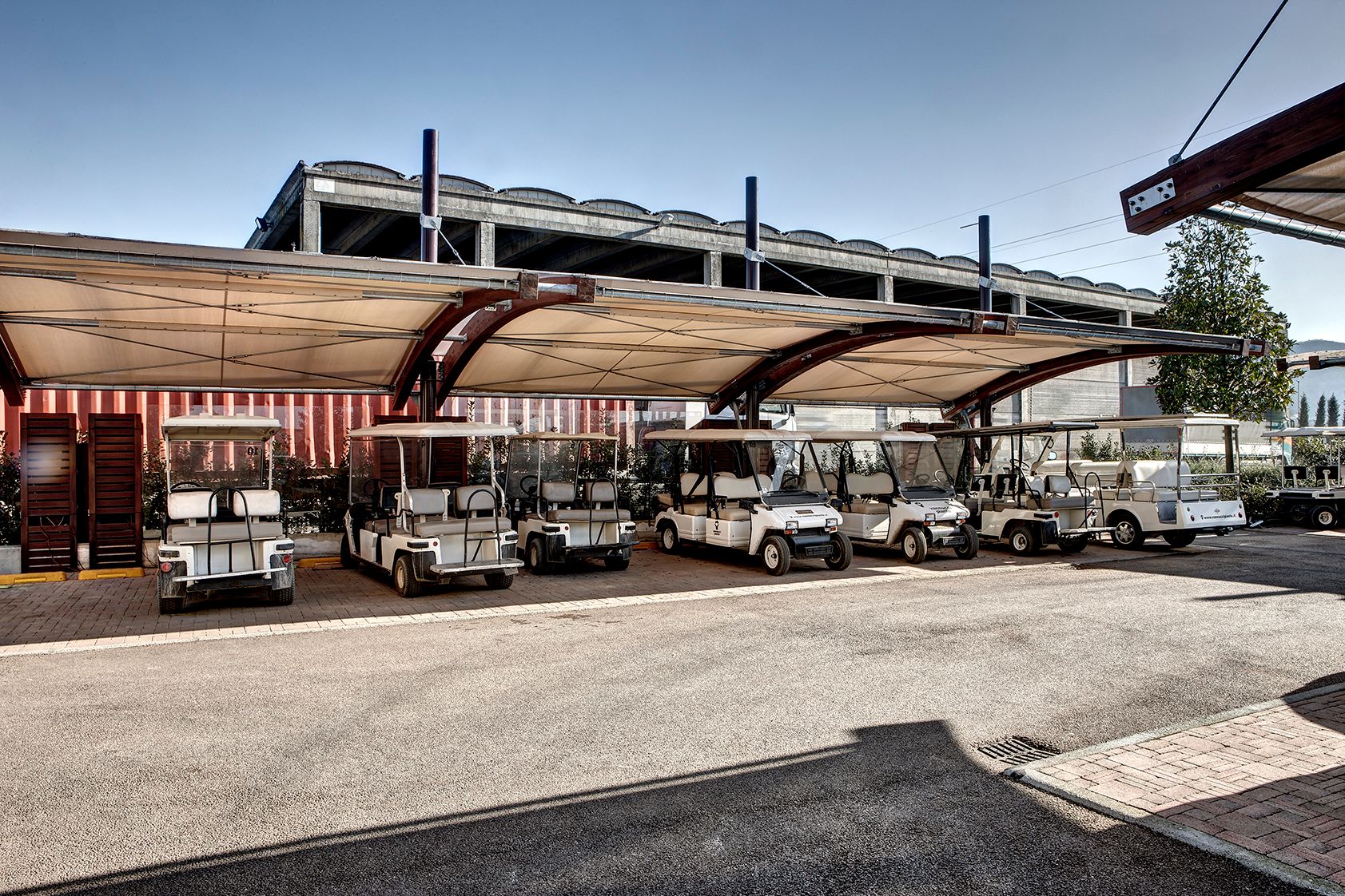 Galleria Covercar Vannucci Piante  3