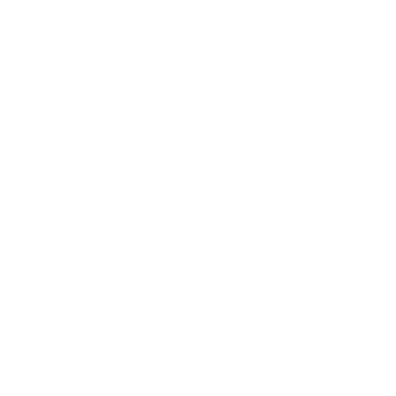 RISE