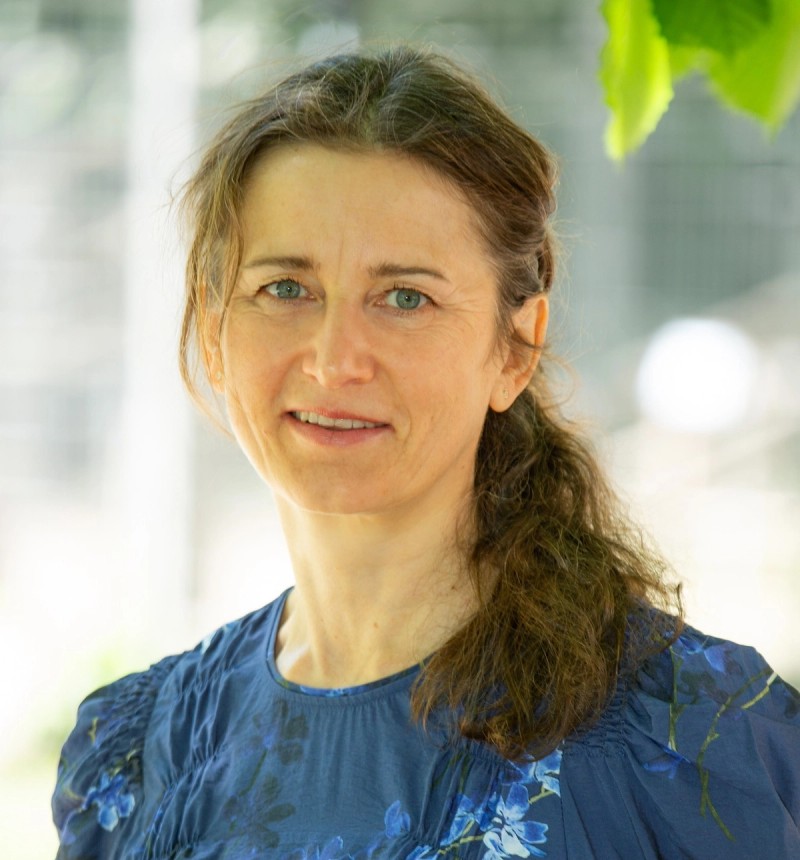 Katarina Chowra 
