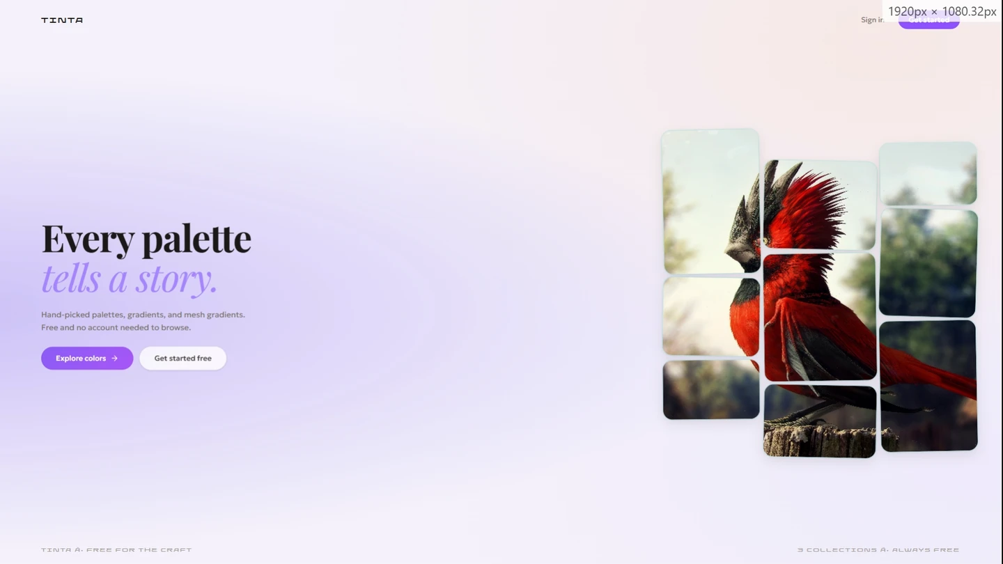 Tinta - Color Palette Platform