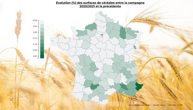 Evolution_surface_céréales.png