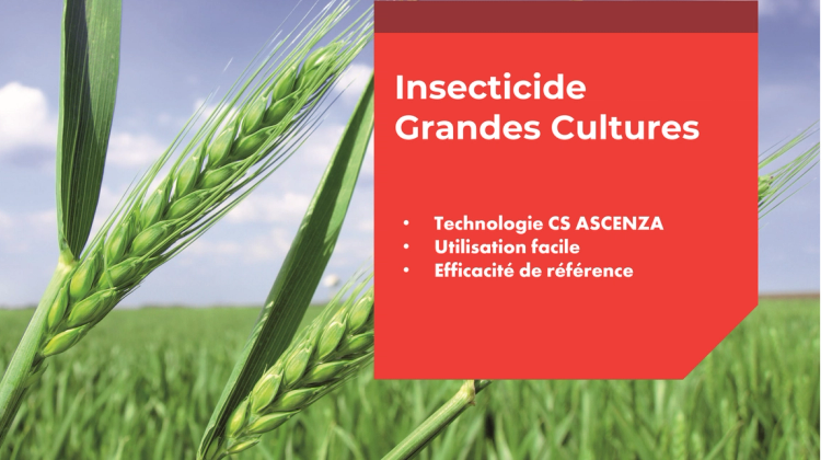 KARAKAS® : La lambda-cyhalothrine Ascenza