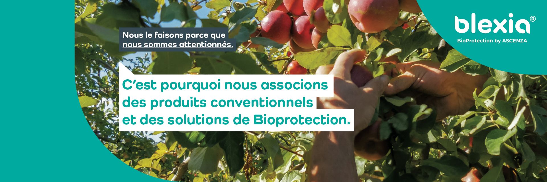 Nous associons solutions conventionnelles et bioprotection
