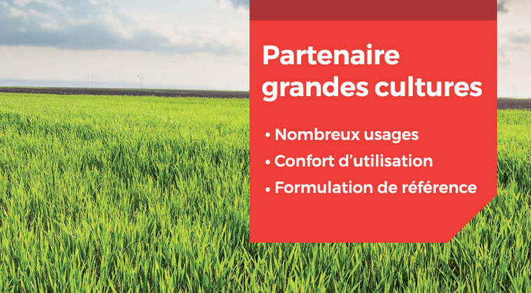 DELTASTAR® : la Deltaméthrine multi-culture