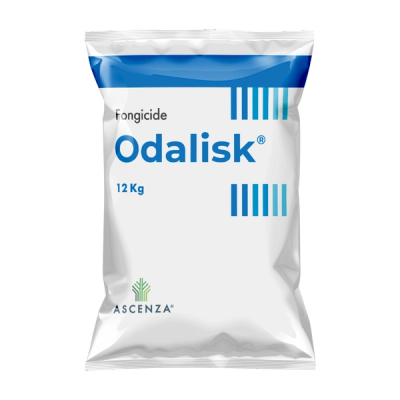 Odalisk®