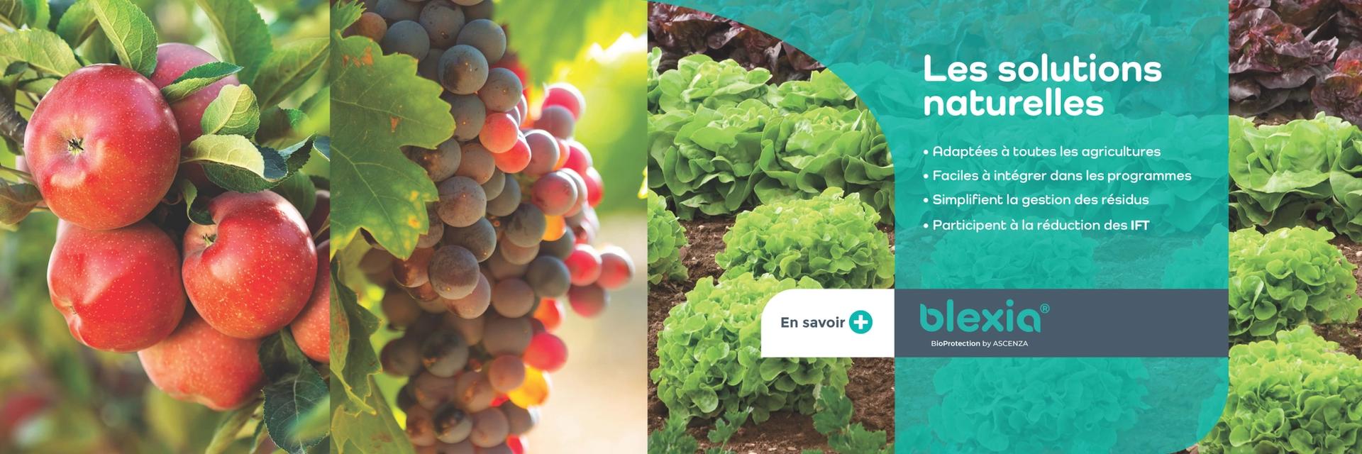 Les solutions naturelles