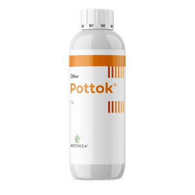 Pottok®