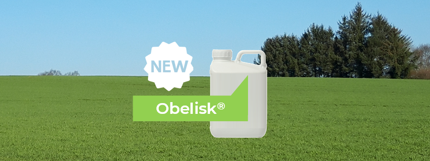 Obelisk, nouvelle solution pour le désherbage des céréales