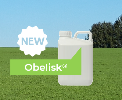 Obelisk, nouvelle solution pour le désherbage des céréales