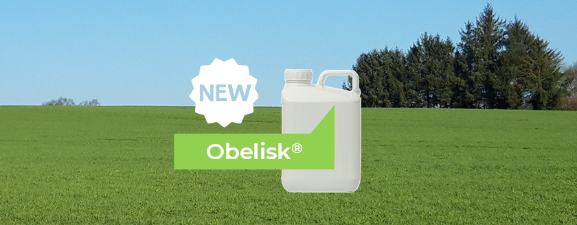 Obelisk, nouvelle solution pour le désherbage des céréales