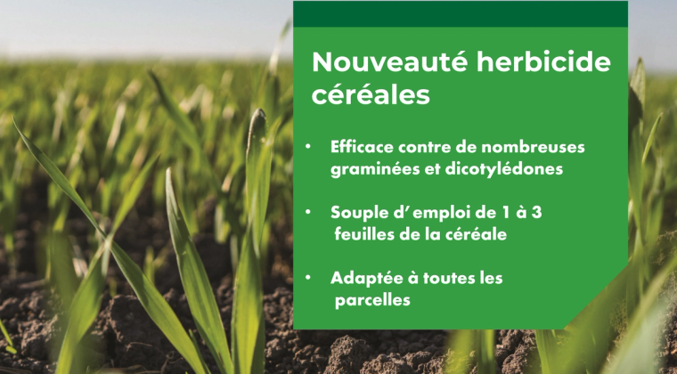 VOLTAGE® SC : la nouveauté herbicide Ascenza