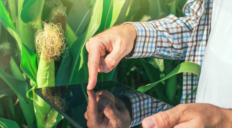 Utiliser correctement un produit phytopharmaceutique