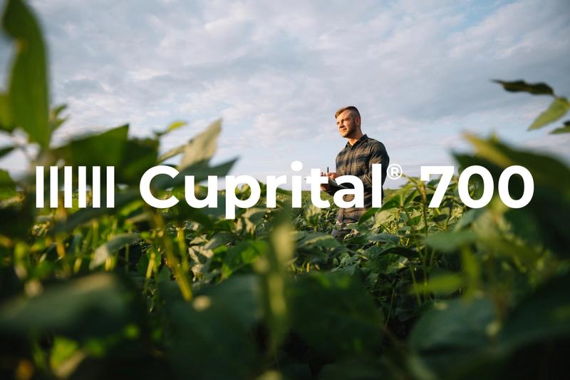 ASCENZA_Fotos_CUPRITAL700_C.jpg