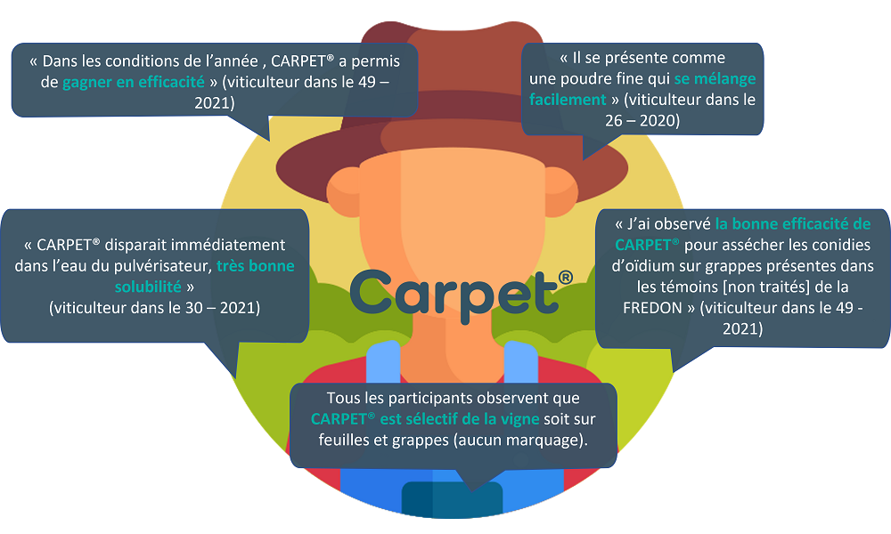 Testimoniaux_Carpet_Blexia_1000x600.png