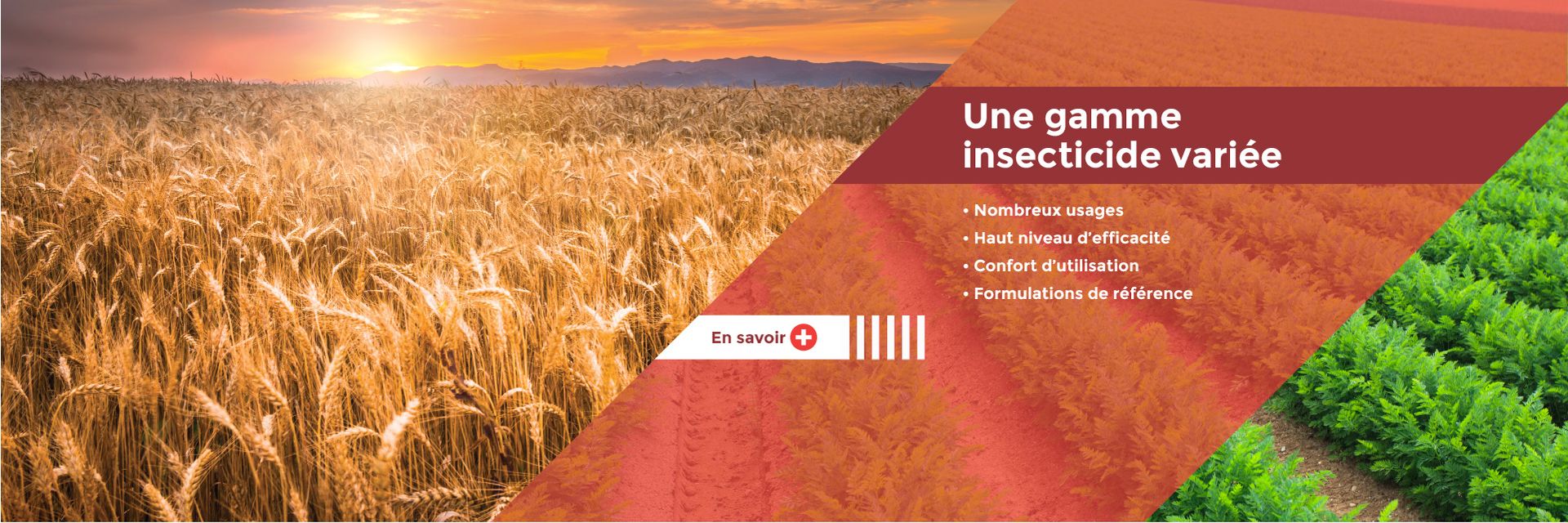 Insecticides polyvalents