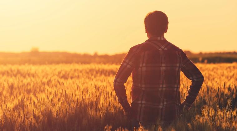 Sécurité des opérateurs