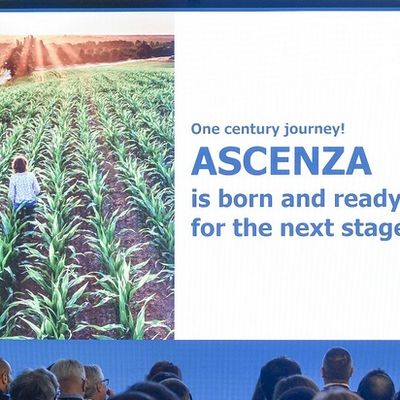 SAPEC AGRO devient ASCENZA