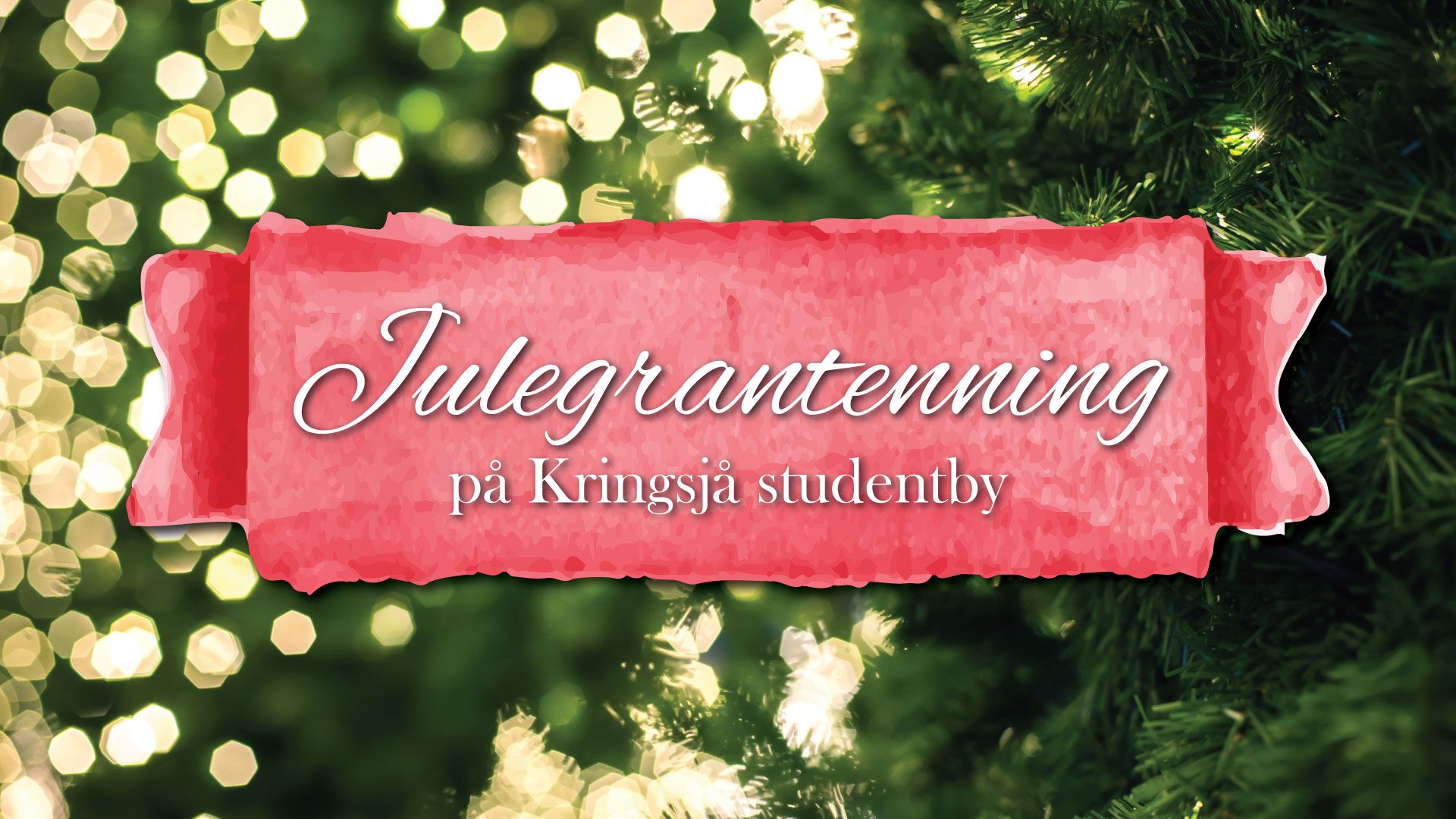 Julegrantenning på Kringsjå studentby