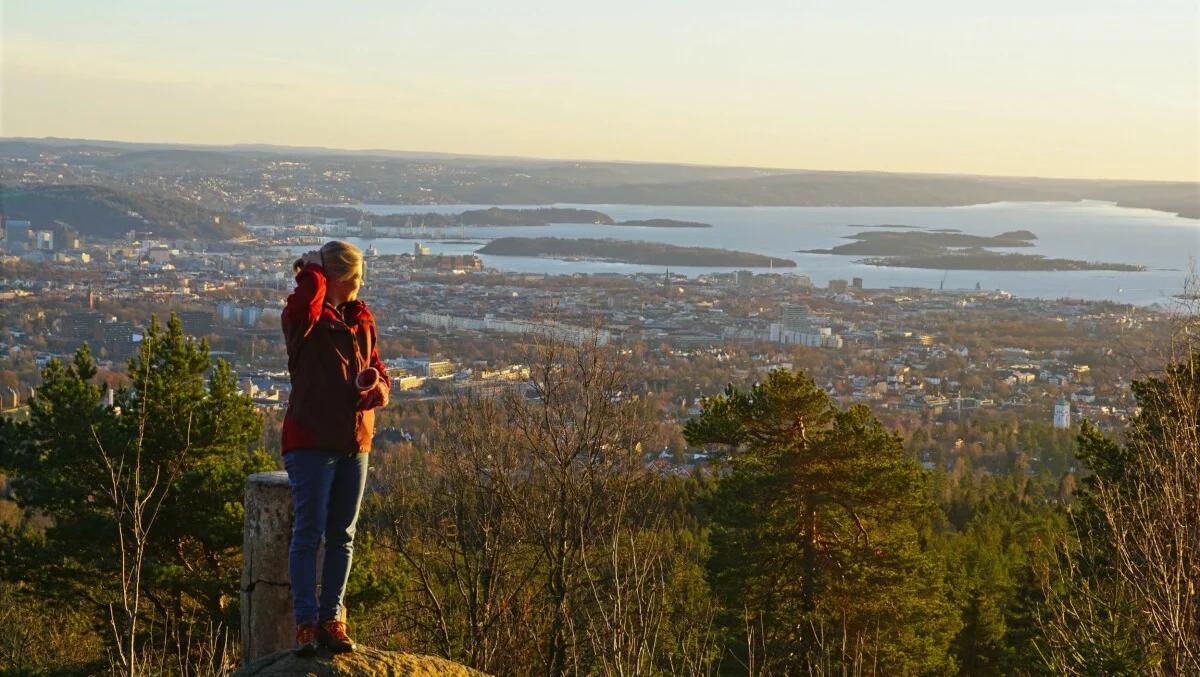 Utsiktsbilde fra Vettakollen