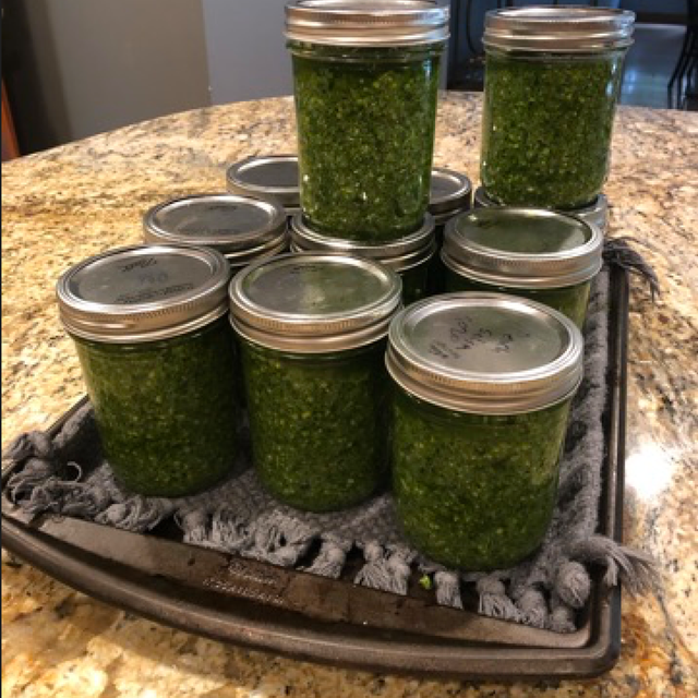 Thumbnail image for Onion Top Pesto