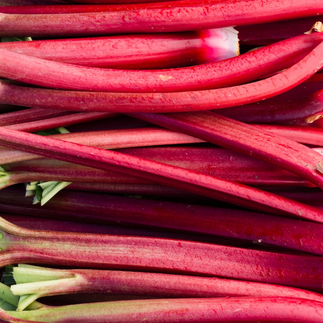 Thumbnail image for Rhubarb Cream Cheese Bars