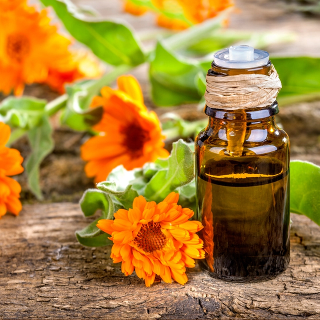 Thumbnail image for Calendula Infused Oil