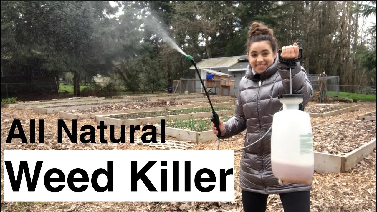 Cover Image for DIY Weed Killer